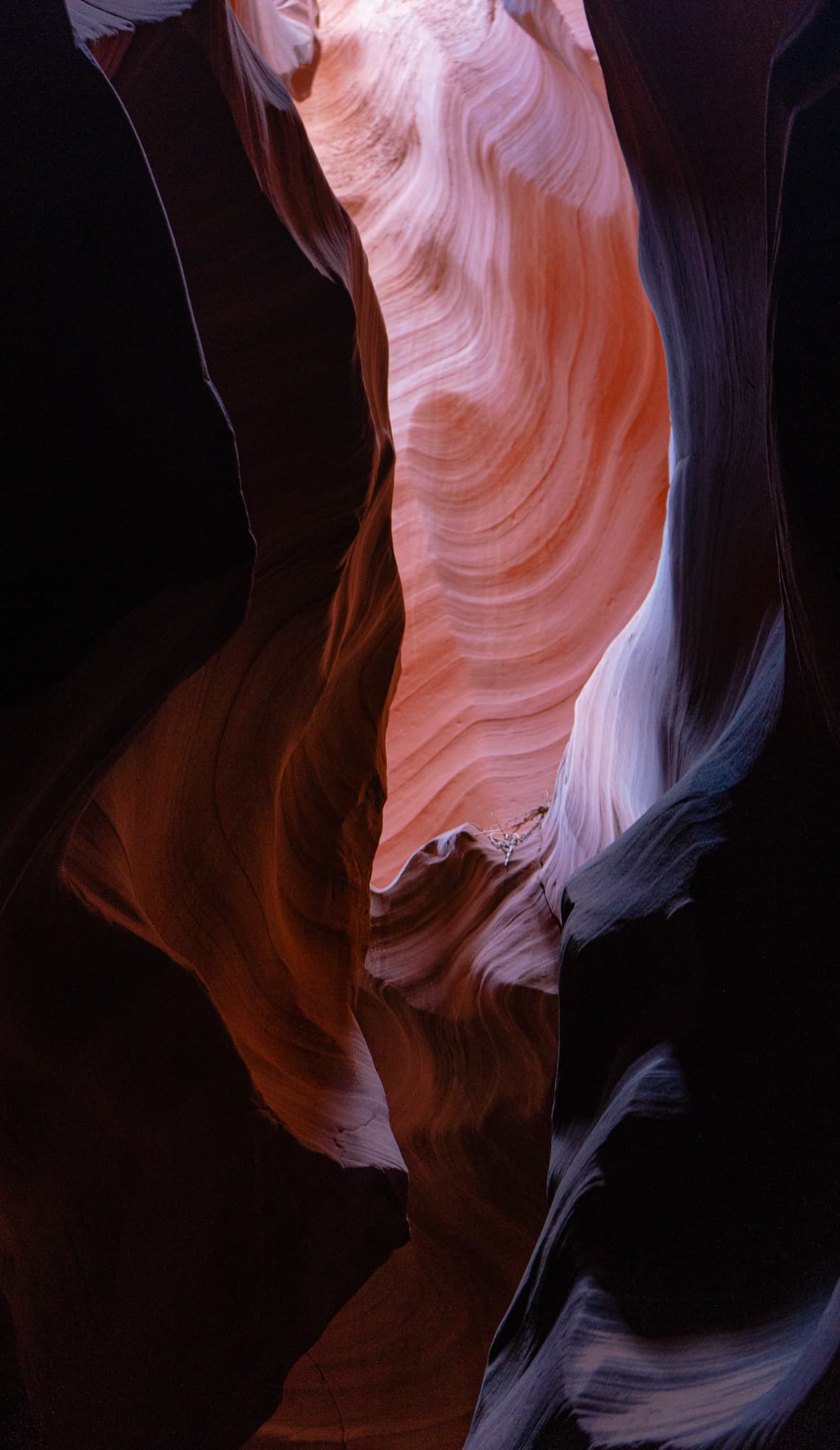 Dark canyon forms framing a glowing sandstone passage