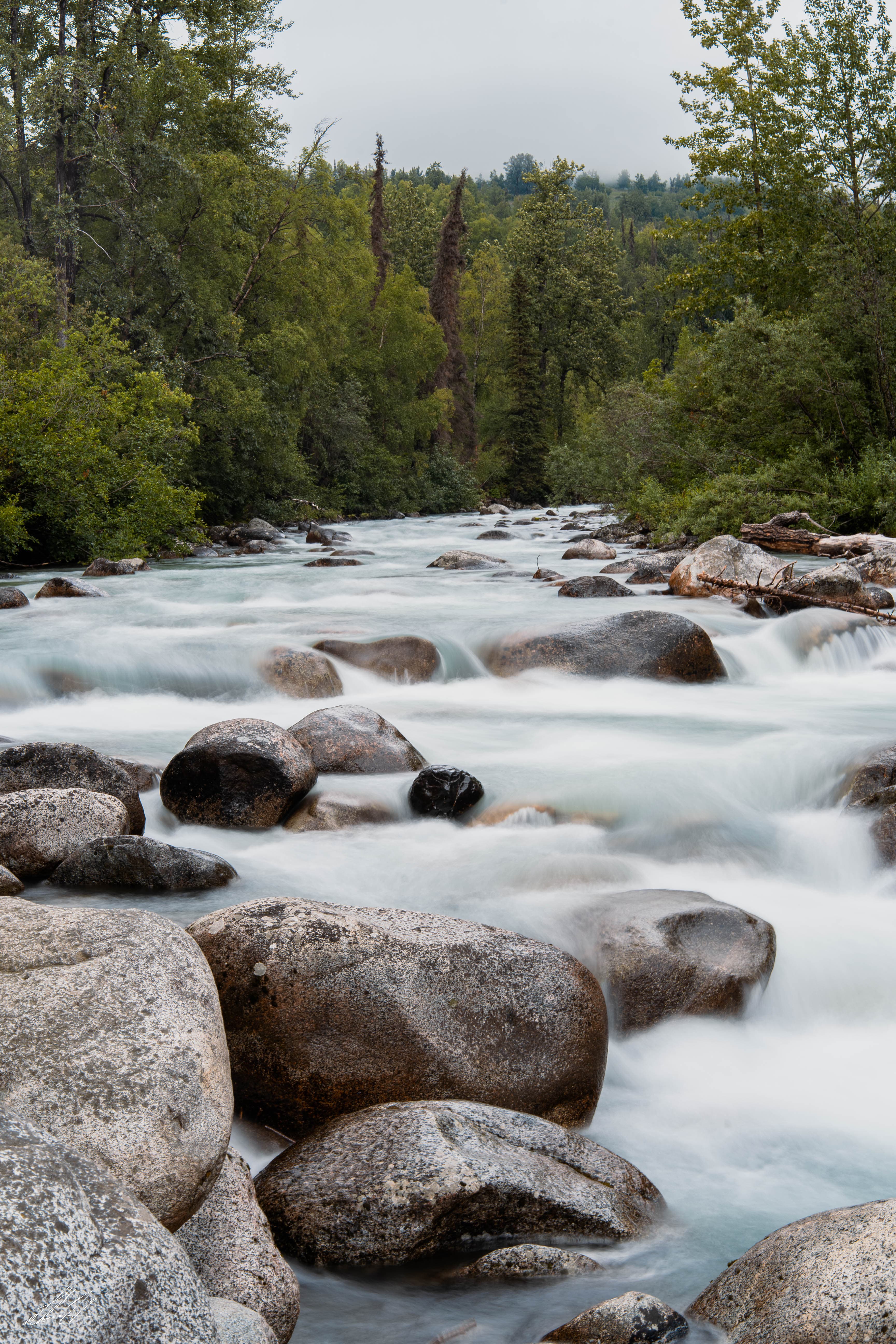 Long-exposure river flowing around boulders in a forest
