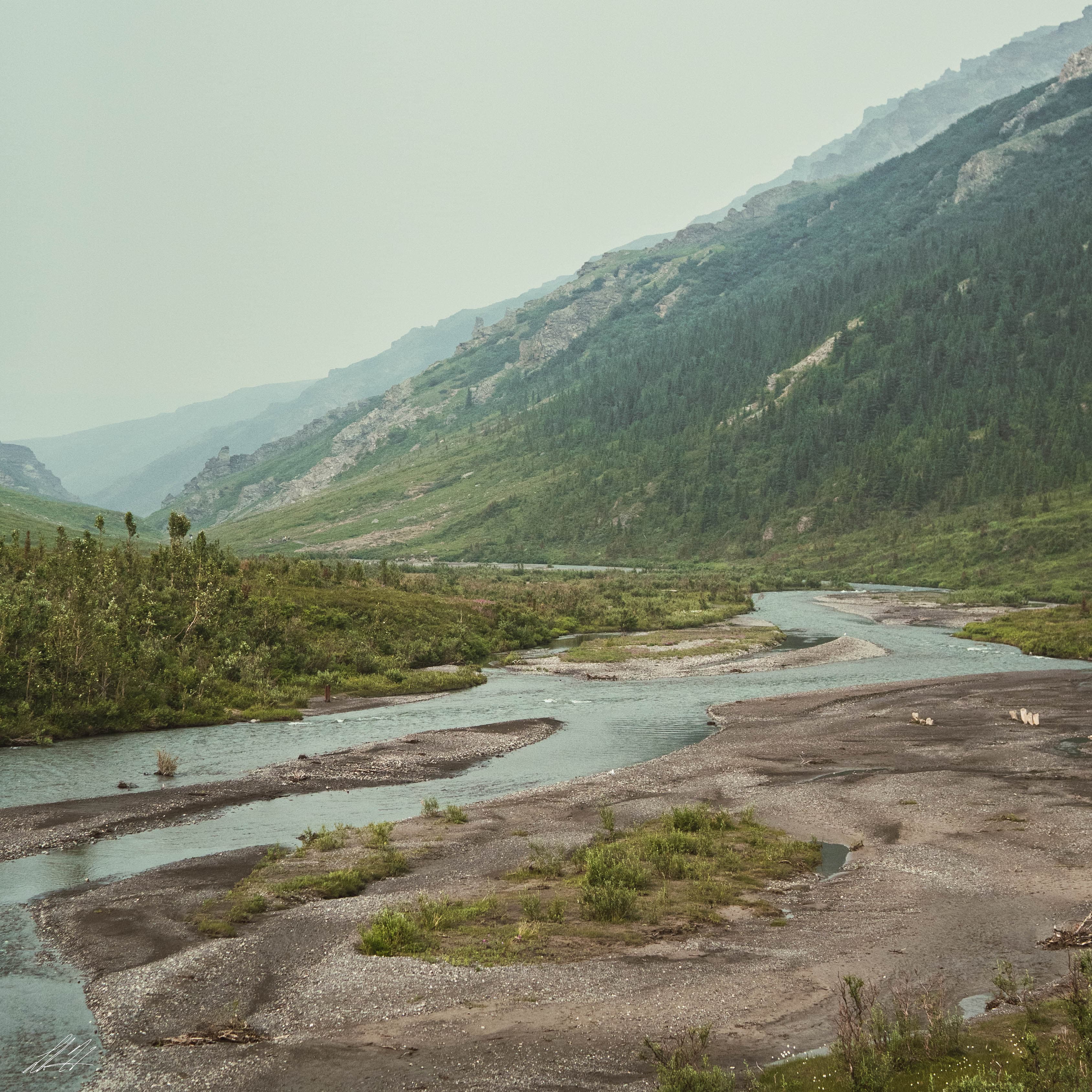 Braided river winding through a green mountain valley