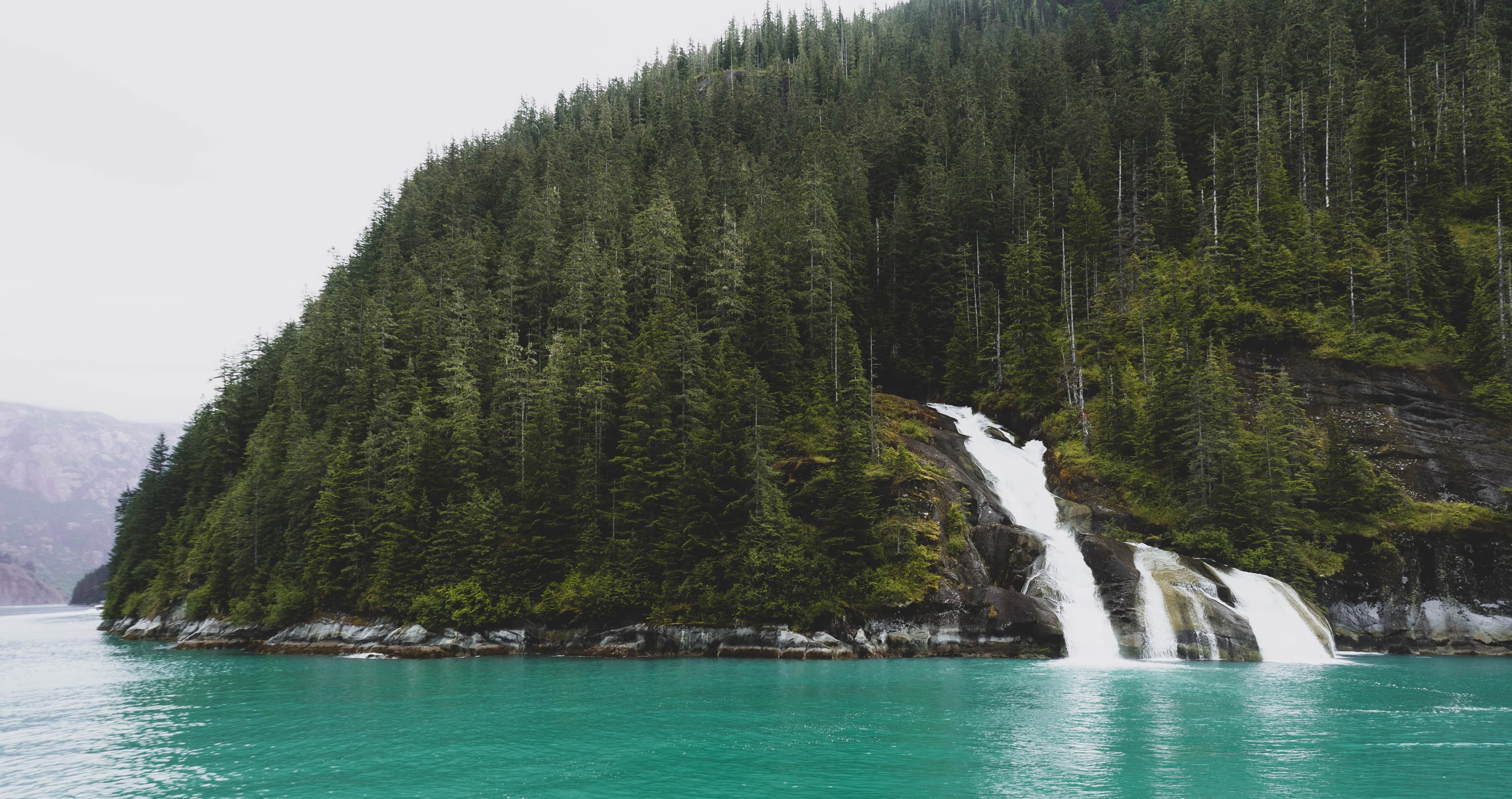 Forested coastal hillside with a waterfall into turquoise water