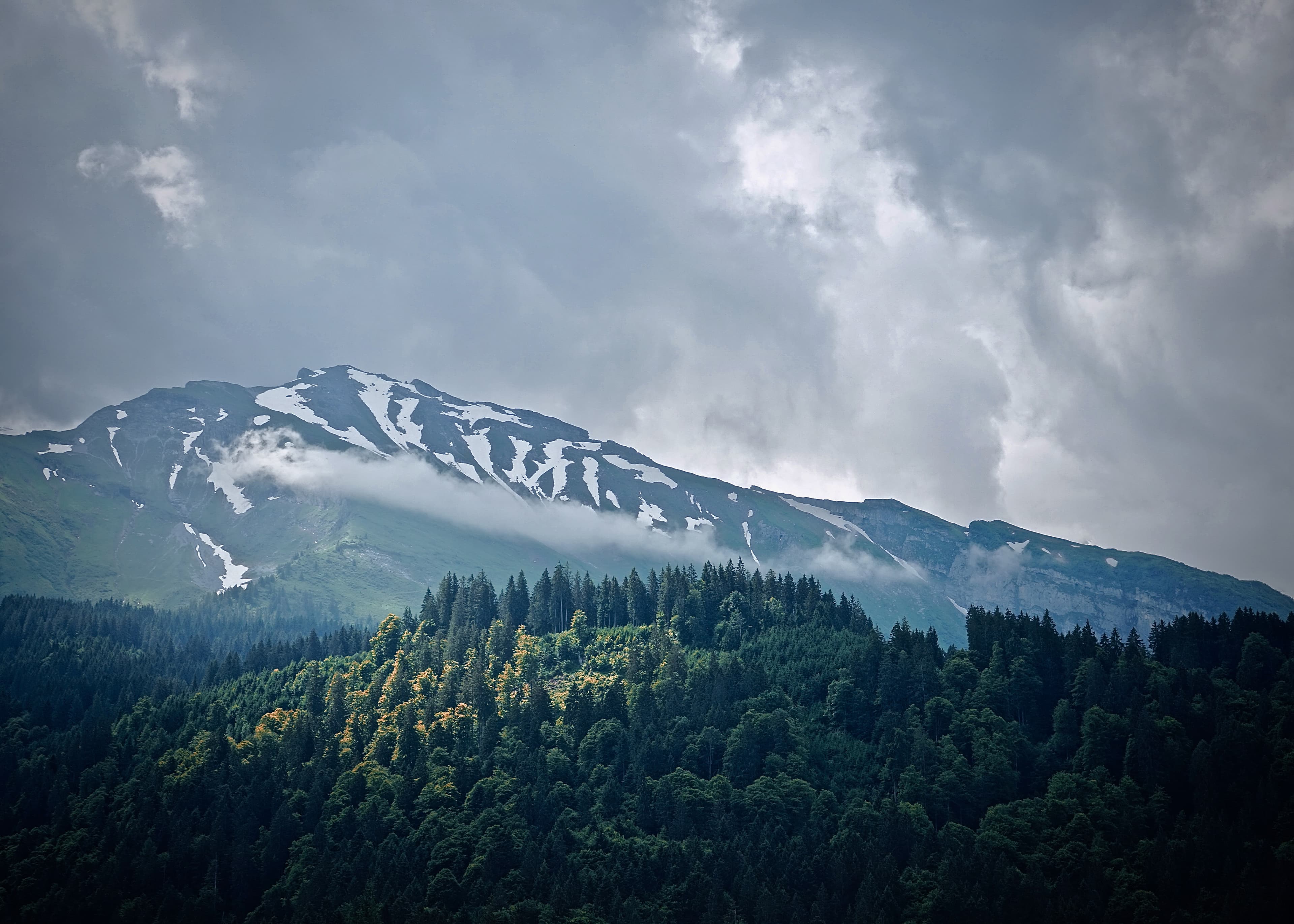Mountain forest and cloud landscape in the Swiss Alps