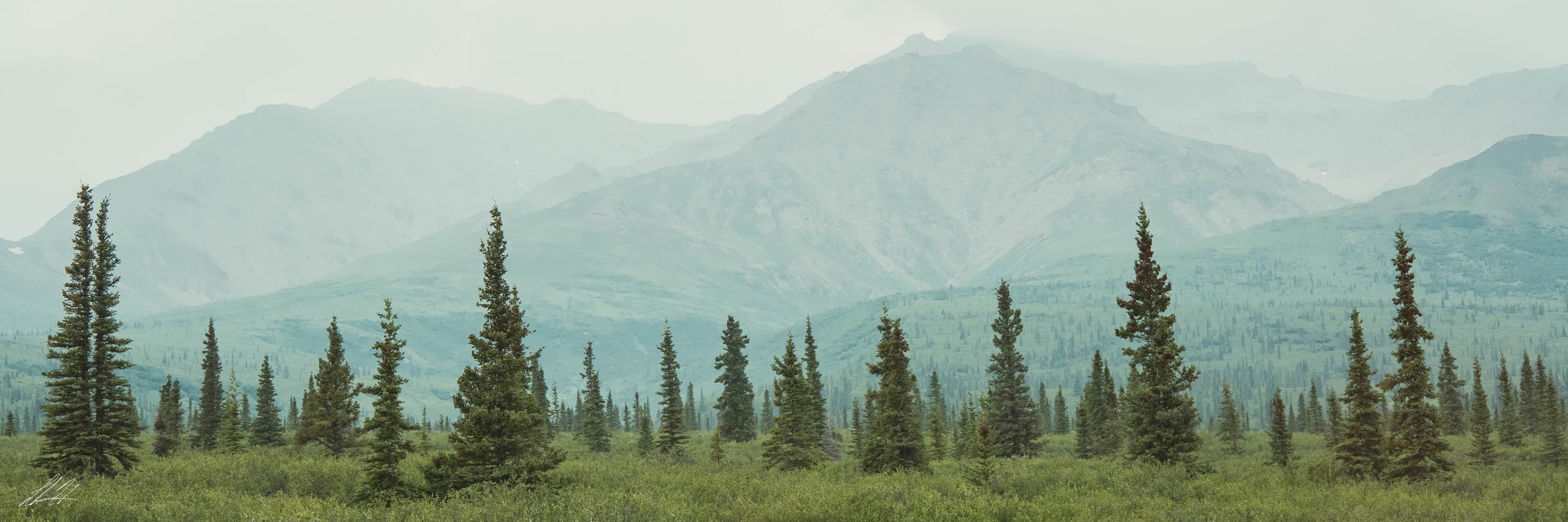 Expansive Alaskan tundra and mountain landscape under open sky